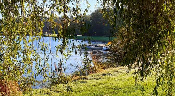Die heilende Kraft der Gefühle