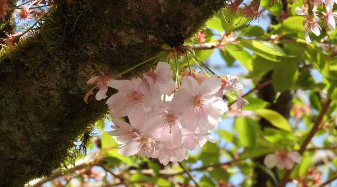 Gregg Braden zur Wunscherfüllung
