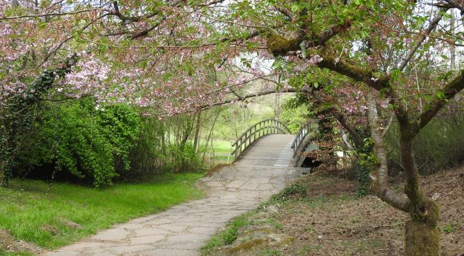 Was hilft bei der Realisierung deines Traumes