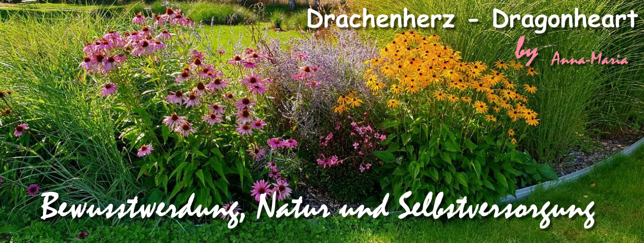 Drachenherz & Dragonheart