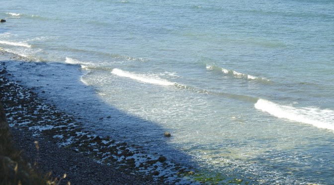 So langsam kann ich es nicht mehr hören…