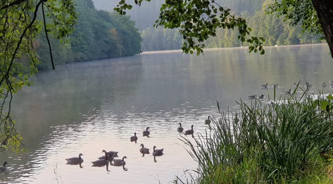 Morgenstund hat Gold im Mund