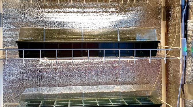 Eine neue Anzuchtstation entsteht…